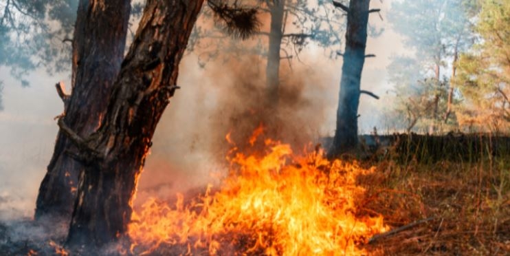 aggiornamento Catasto Incendi